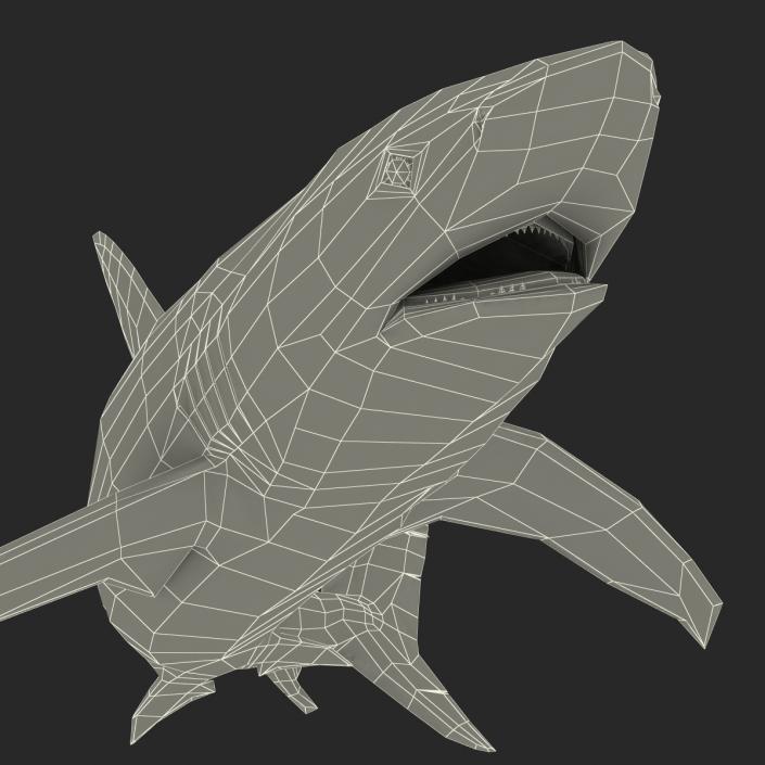 3D model Dusky Shark Swimming Pose