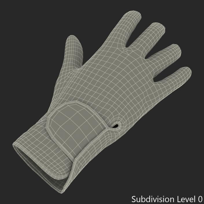 3D Bowling Glove model