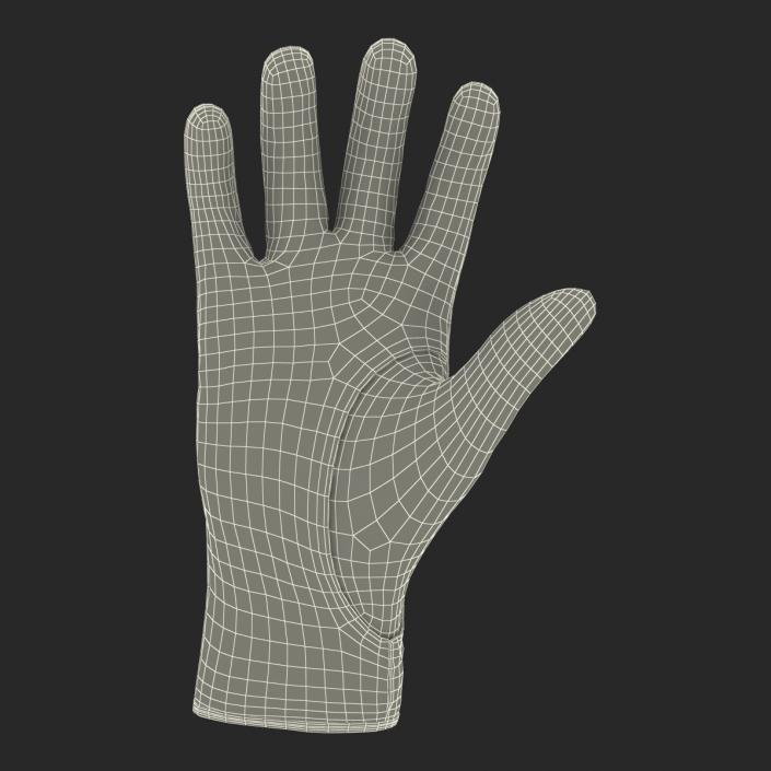 3D Bowling Glove model