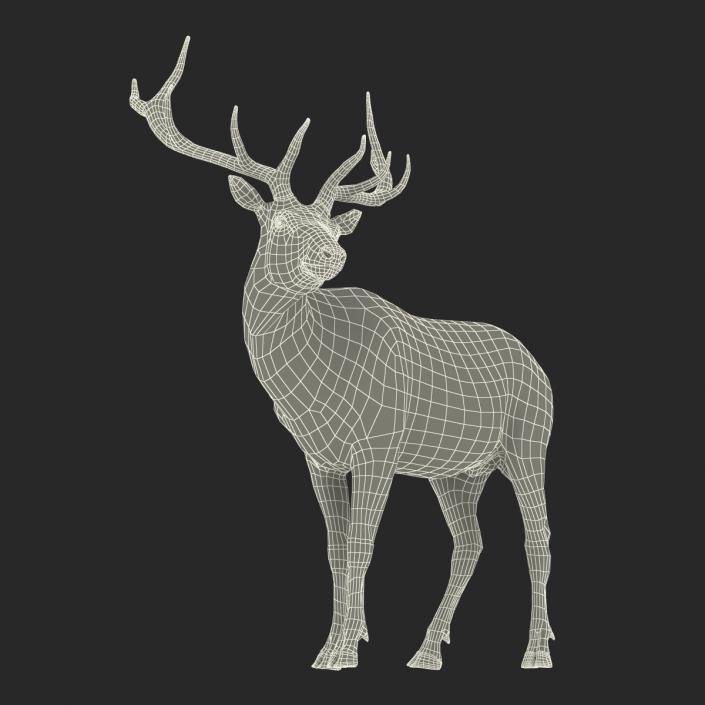 3D Elk Standing Pose with Fur