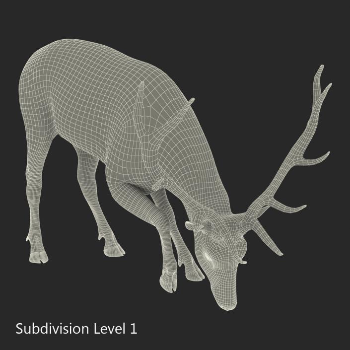 3D model Elk Pose 3