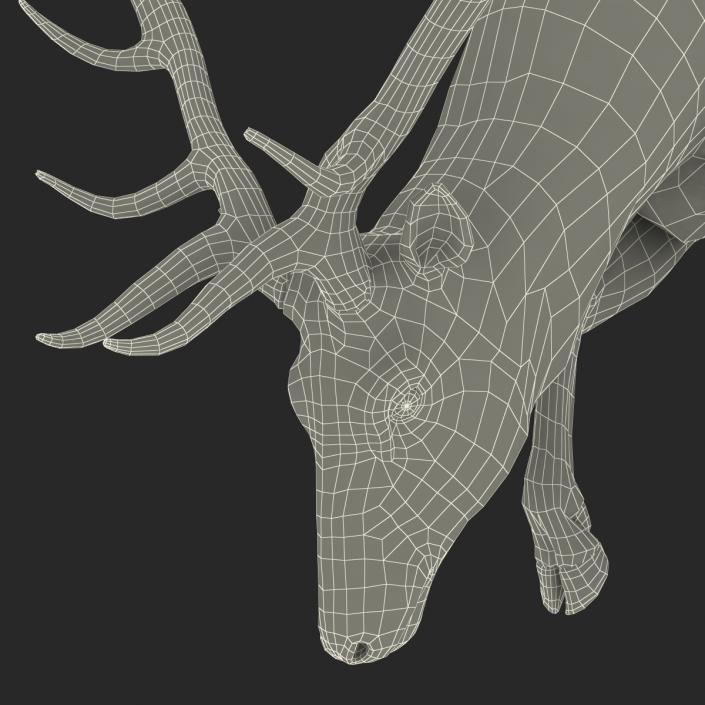 3D model Elk Pose 3