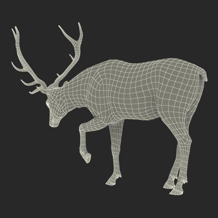 3D model Elk Pose 4