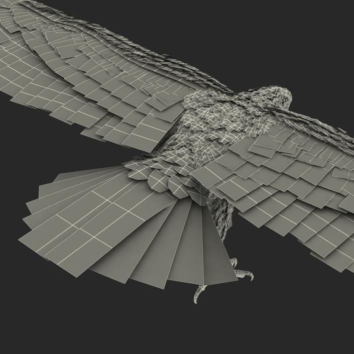 Gurney Eagle Rigged 3D model