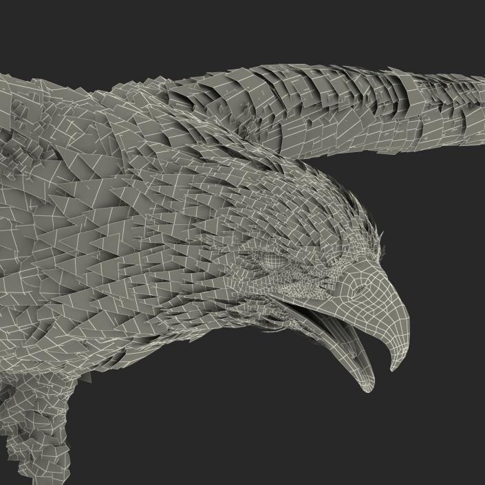 Gurney Eagle Rigged 3D model