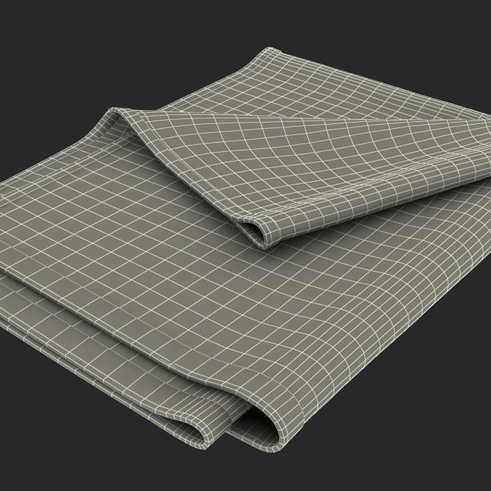 Towel 4 Green with Fur 3D