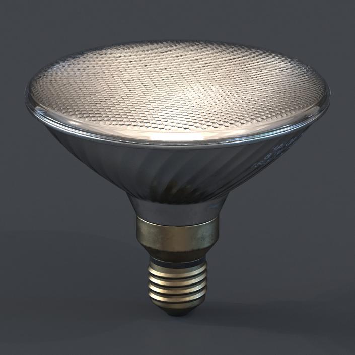 Halogen Flood Light Bulb 3D model