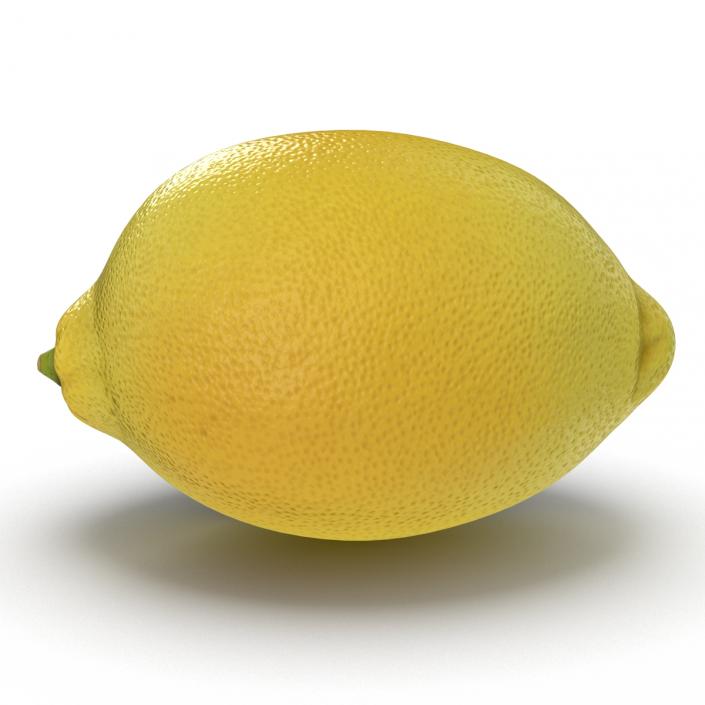 Lemon 3D model