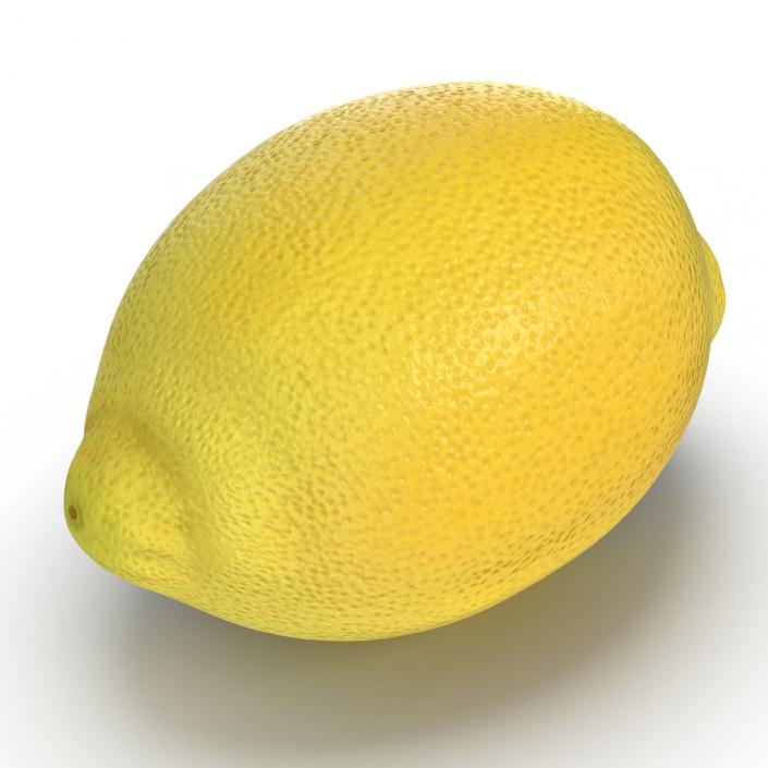 Lemon 3D model