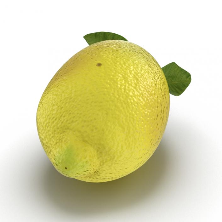 Lemon 2 3D model