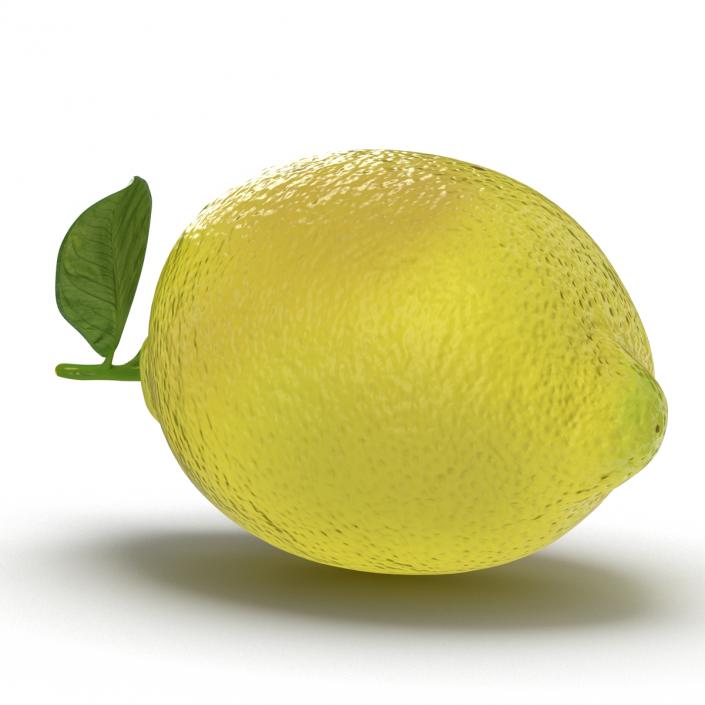 Lemon 2 3D model