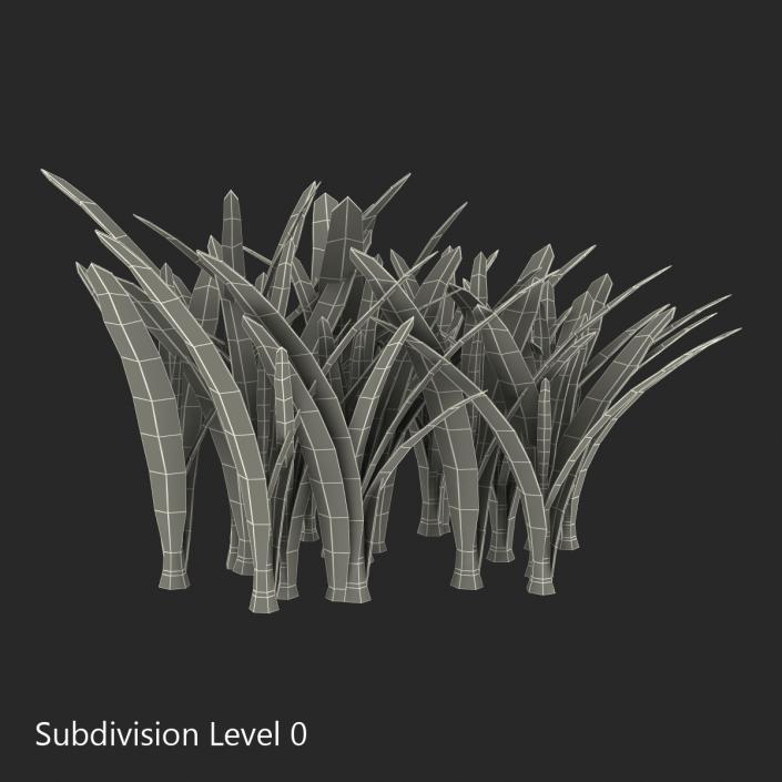 Grass 3 3D model