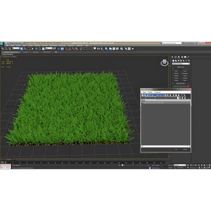 3D Saint Augustine Warm Season Grass model