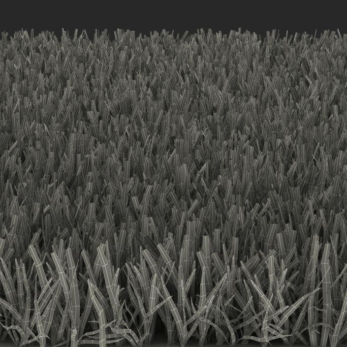 Zoysia Grass 3D
