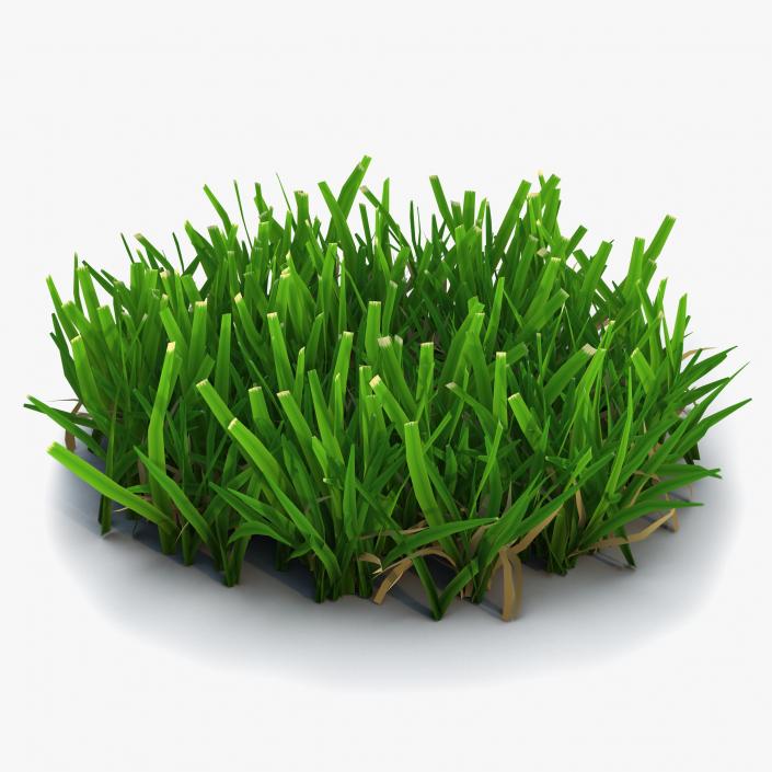 Grass 5 3D model
