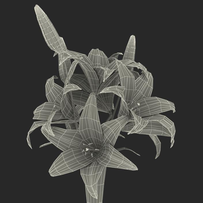 3D model White Lily Vase
