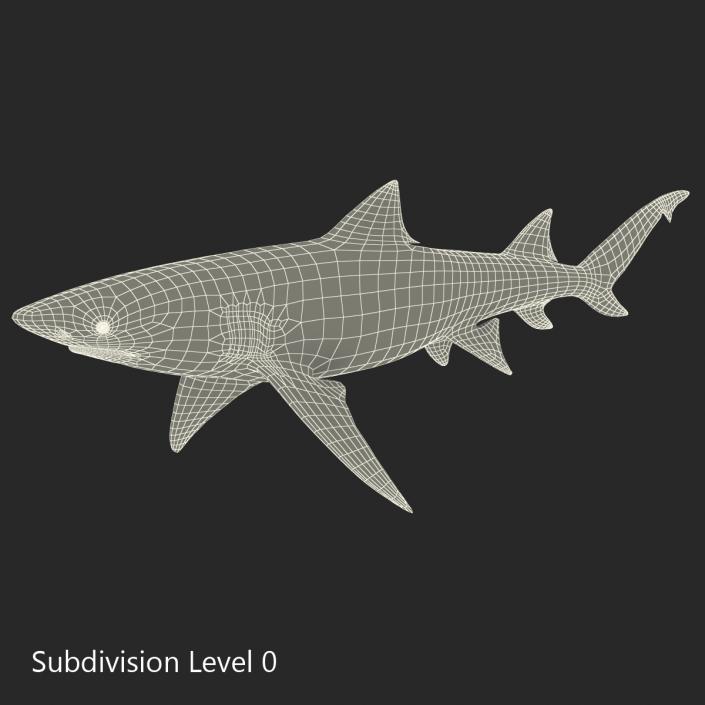 3D Sicklefin Lemon Shark