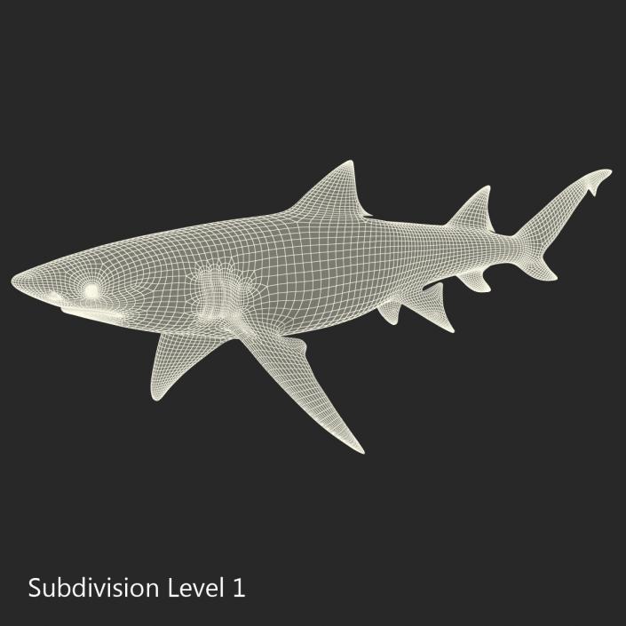 3D Sicklefin Lemon Shark