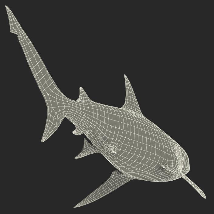 3D model Bull Shark
