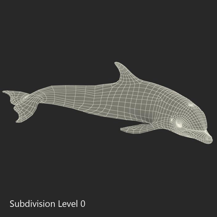 Dolphin Pose 4 3D model