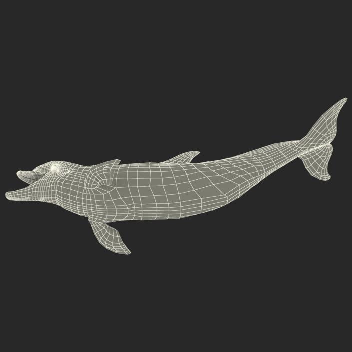Dolphin Pose 3 3D model
