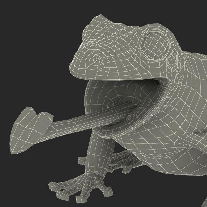 3D Australian Green Tree Frog Pose 3 model