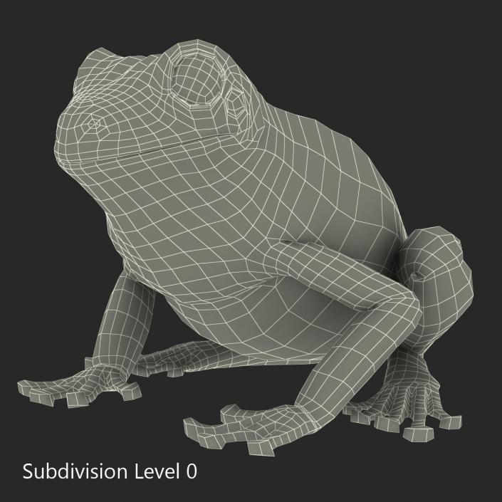 3D Australian Green Tree Frog