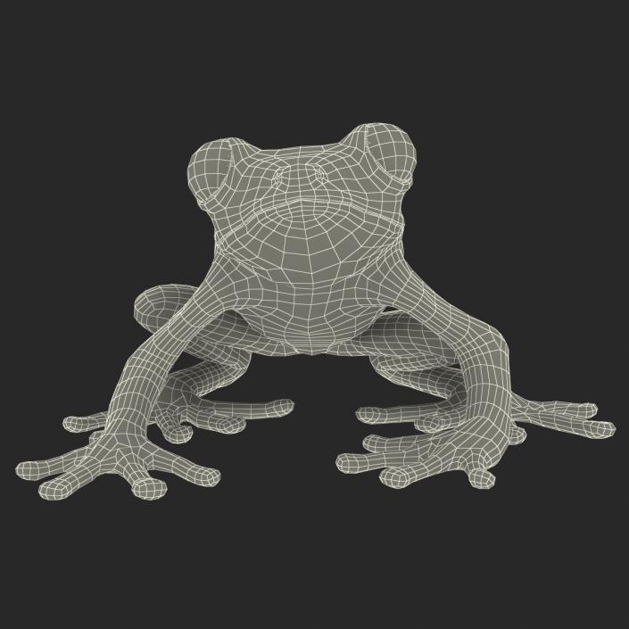 3D model Red Eyed Tree Frog Pose 4