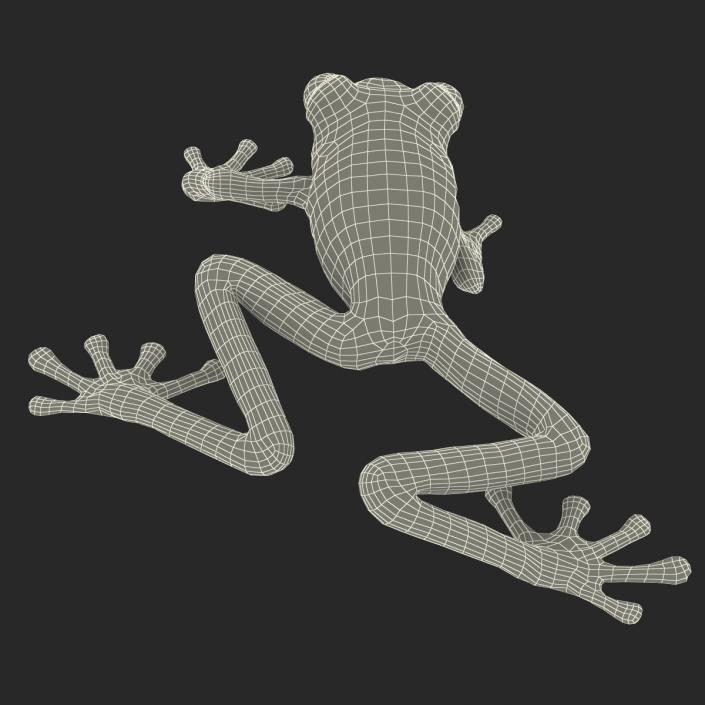 3D model Red Eyed Tree Frog Pose 3