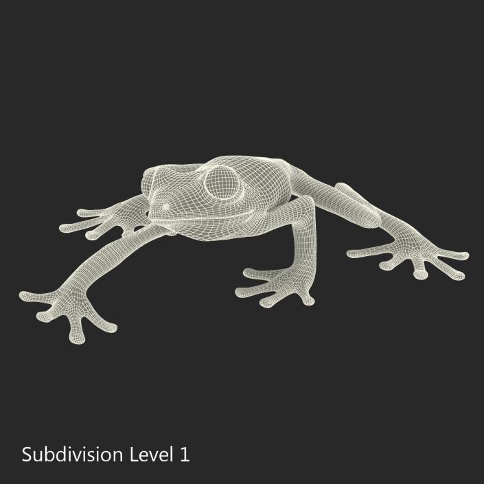 3D model Red Eyed Tree Frog Pose 2