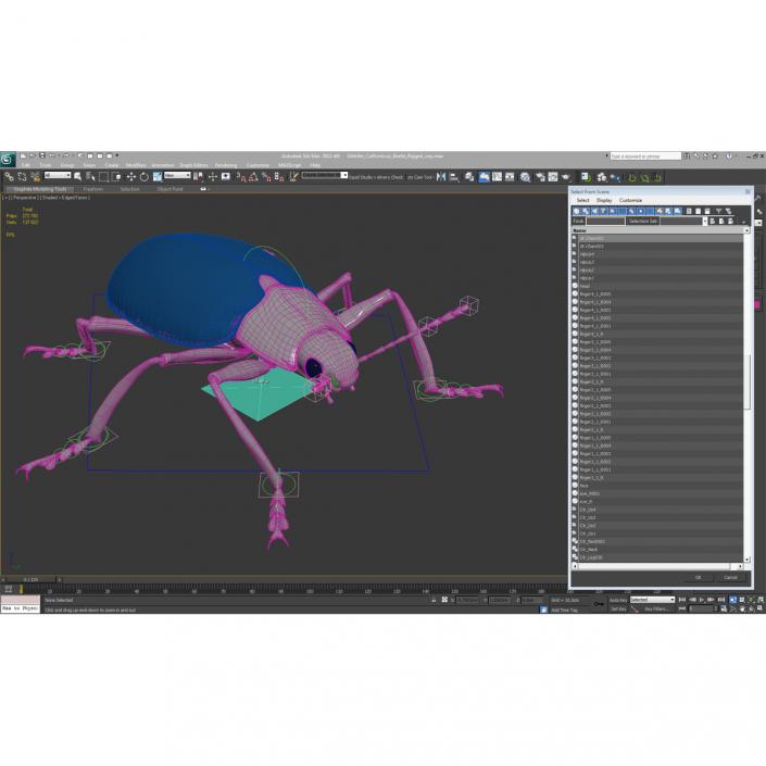 3D model Gibbifer Californicus Beetle Rigged