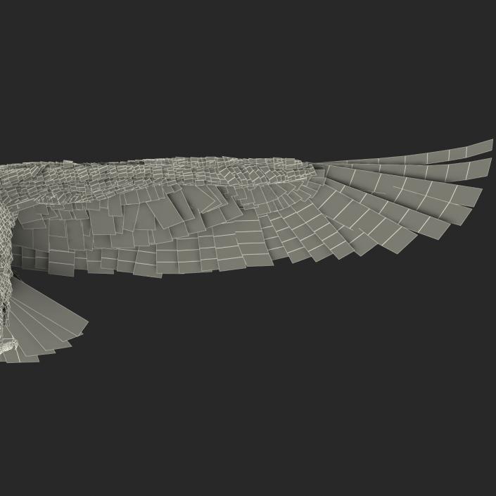 3D Imperial Eagle Rigged