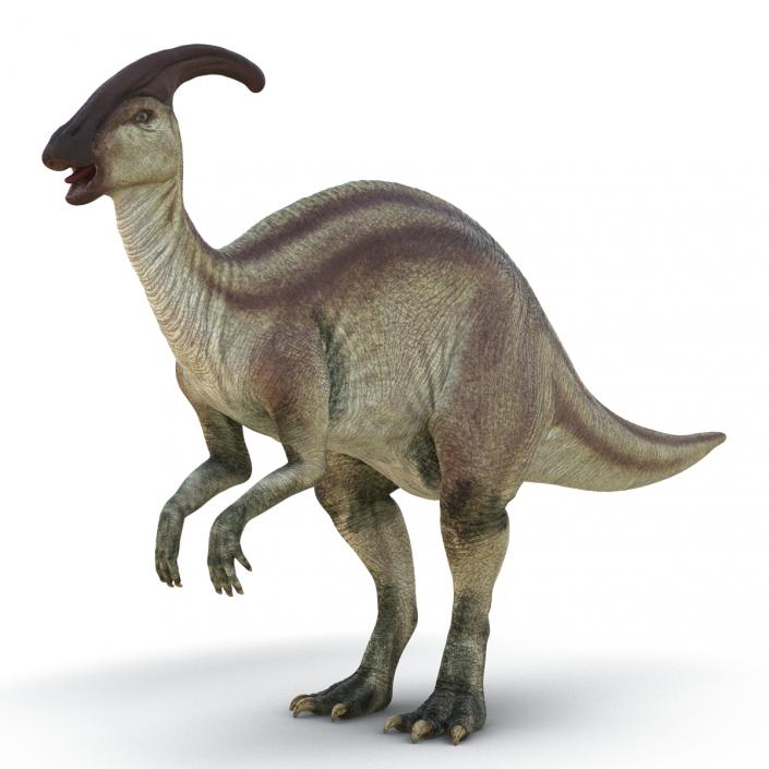 Parasaurolophus Rigged 3D