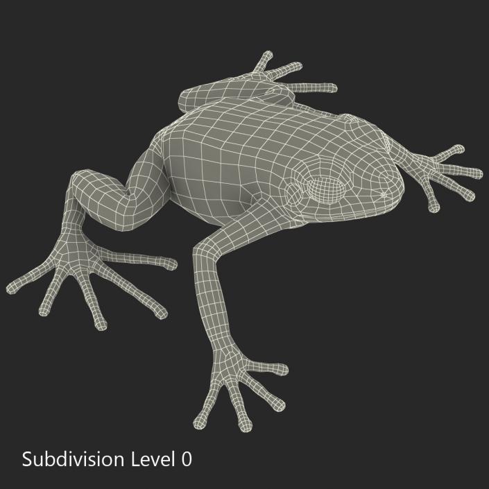 3D model Mantella Frog Pose 2