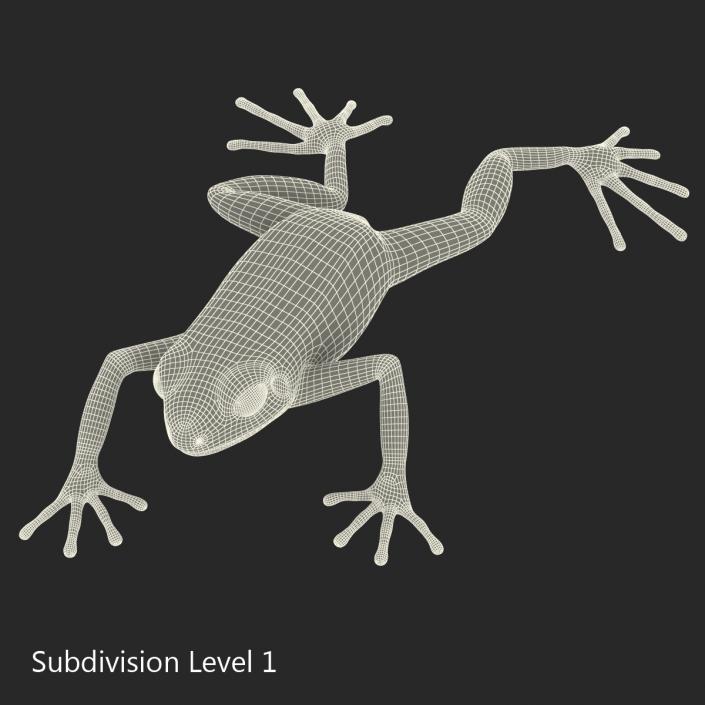 3D model Mantella Frog Pose 3