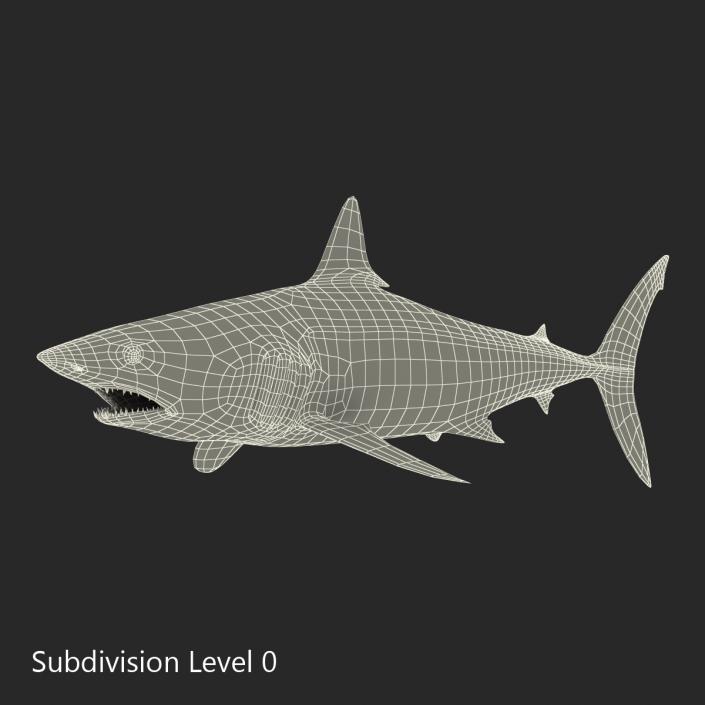 Shortfin Mako Shark 3D model