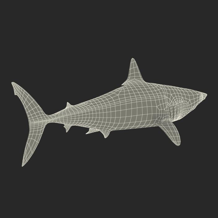 3D Shortfin Mako Shark 2