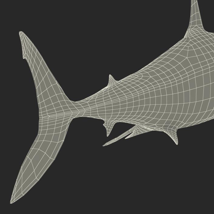 3D Shortfin Mako Shark Pose 2