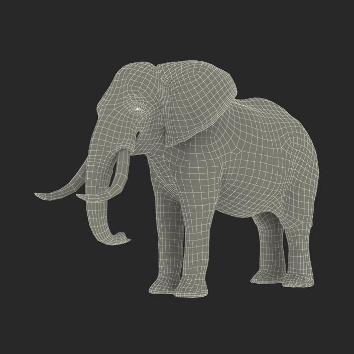 3D model Elephant