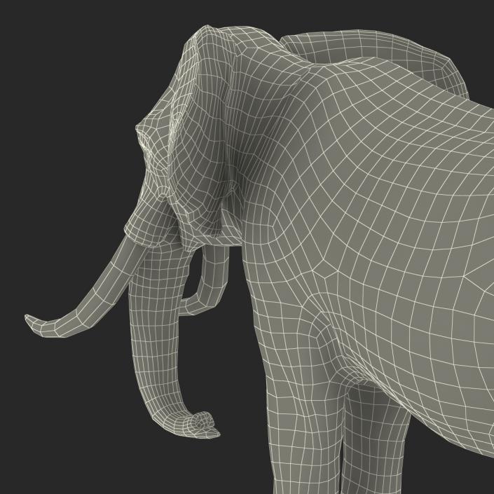 3D model Elephant