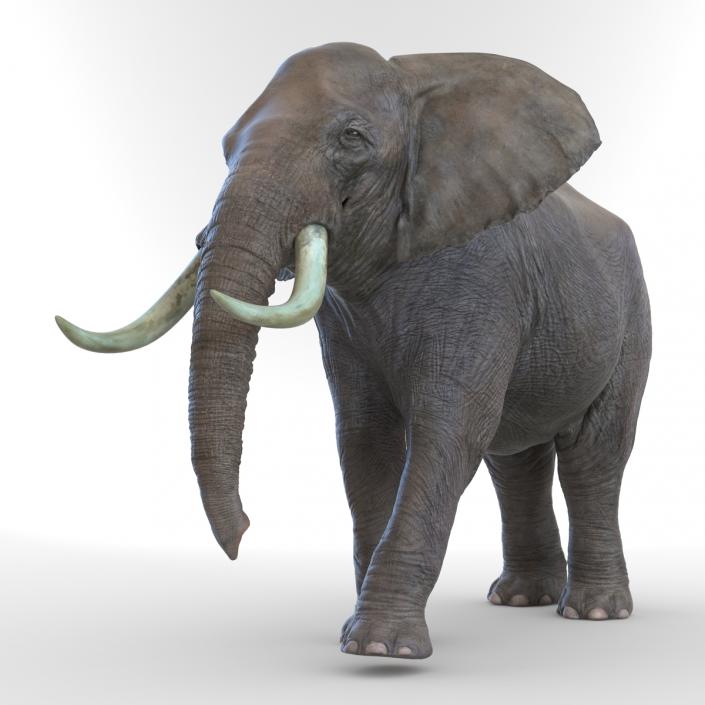 3D Elephant Walking Pose