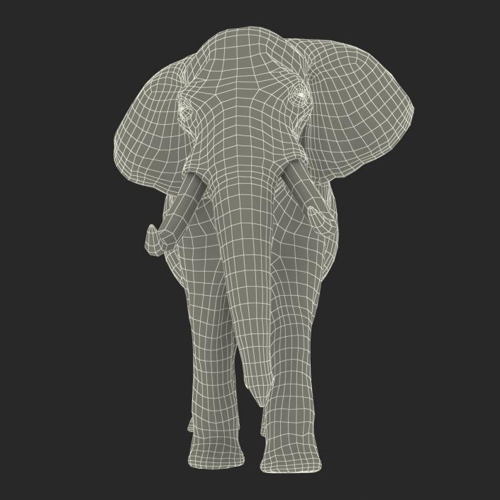 3D Elephant Walking Pose