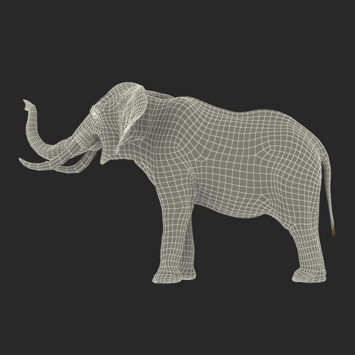 3D model Elephant Pose 3