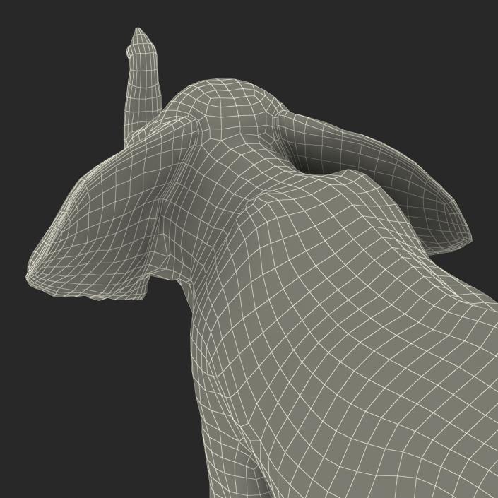 3D model Elephant Pose 3