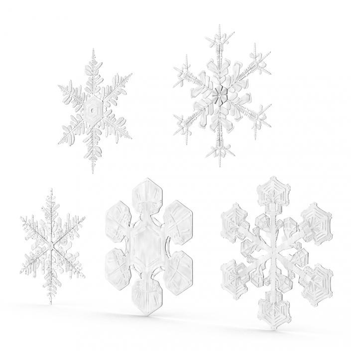 3D Snowflakes Collection