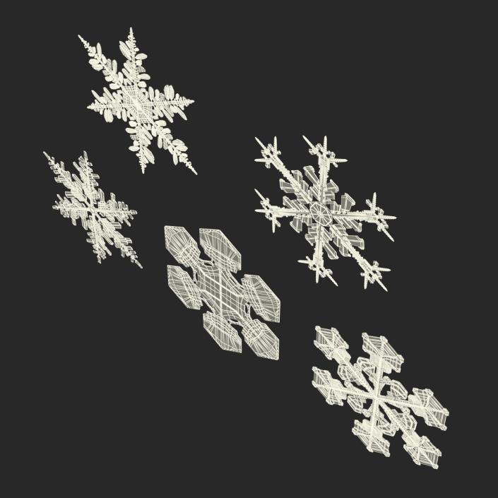 3D Snowflakes Collection
