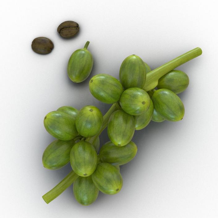 3D Green Coffee Collection model