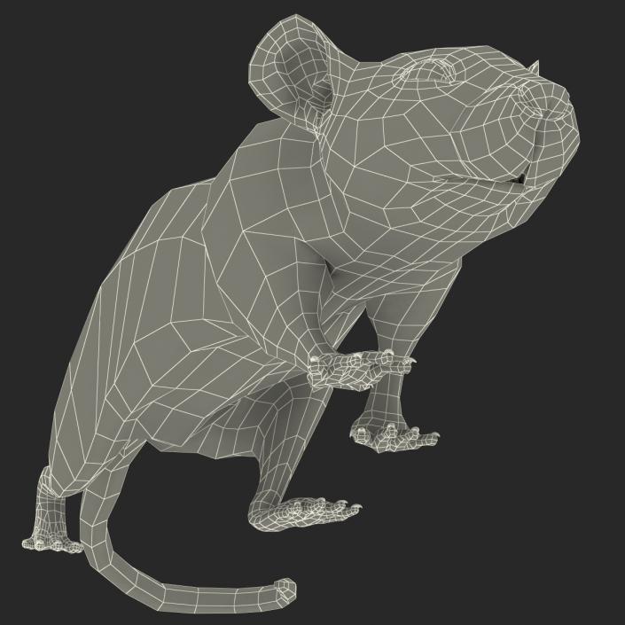 3D White Rat Pose 3