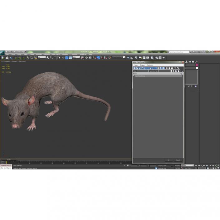 3D White Rat Pose 5