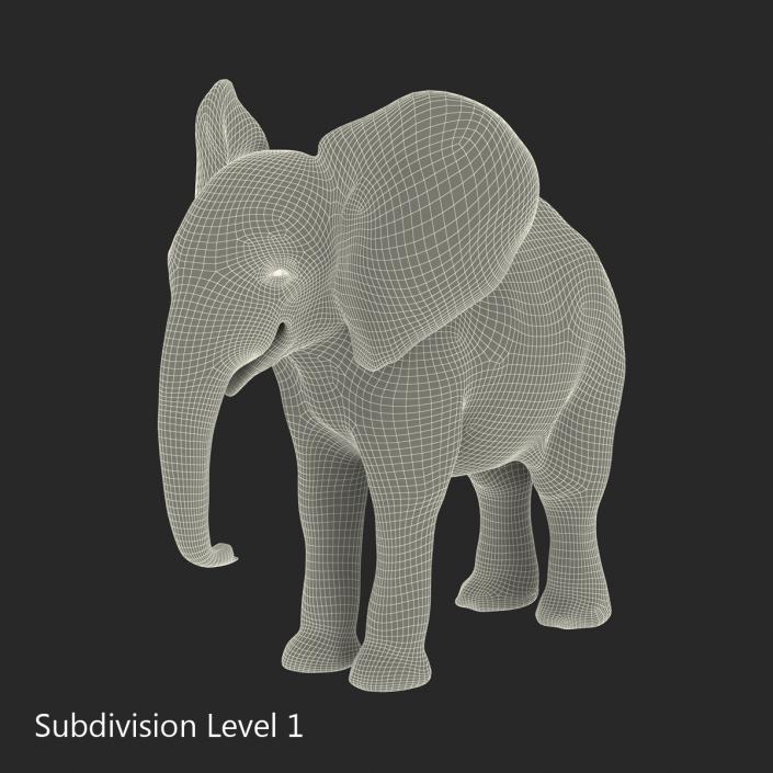 3D Baby Elephant model